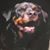 Chris LoPrete's profile image