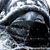 Mariana Bartolomeo's profile image