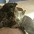 Tamera Lou Fulkerson's profile image