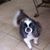 Kay Prochaska's profile image
