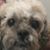 Carmen Spicer Marshall's profile image