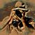 Tunney Barrett's profile image