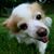Bernie D'Agostino Pezzuto's profile image