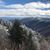 Kathleen Ruffino-Dearden's profile image