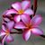 Eufemia Cab's profile image