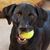 Maia Stitt's profile image