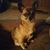 Angie Tilley's profile image