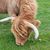 June Kleban's profile image