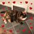 Kimberly Joanne's profile image