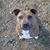 Lori Mccabe's profile image