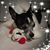 Melody Vick Huckaby's profile image
