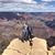 Whitney Tarry's profile image
