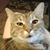 James Lockwood's profile image