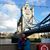 Rosemary Richards's profile image