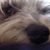 Ana C Barajas's profile image