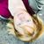 Kate Hollis's profile image
