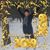 Lynda Morris's profile image