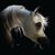 Teri Murray's profile image