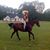 Dawn Smith's profile image