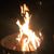Allison Marie's profile image