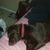 Charlie Peavey's profile image