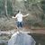 Murilo Kist's profile image
