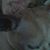Kacie Tilton's profile image