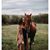 Danielle Soucy's profile image
