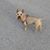 Kathy Dorsey's profile image
