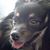 Angel Antonio Davila's profile image