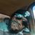 Terrance Tlc Cash-Heard's profile image