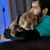 Chris Wincek's profile image