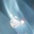 Judy Mcculloch's profile image