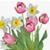 Denise Lynne LaMantia's profile image