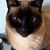 Jackie Hall's profile image