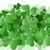 LeAnne Brown Enright's profile image