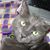 Janice Doud's profile image