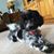 Ruth Cotier O'Connor's profile image