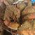 Kathy Alexander's profile image