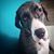Michele Buchanan Priante's profile image