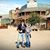 Deanna Alayne's profile image