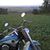 Courtney Foose's profile image