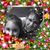 Sue Gray's profile image