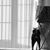 Alicia Lombardi Ciaramitaro's profile image