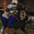 Elijah Heverin's profile image
