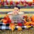Carol Bankhead Myrick's profile image