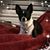 Nikki Cherry's profile image