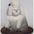 Sean Newby's profile image