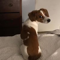 Colleen Wisdom's profile image