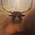 Brent Browning's profile image